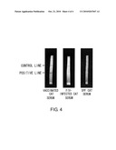 Test Method on Feline Vaccinated with Feline Immunodeficiency Virus Vaccine, and Antigen for Use in the Test diagram and image