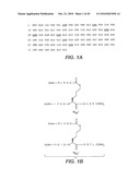 METHODS AND COMPOSITIONS FOR TARGETING POLYUBIQUITIN diagram and image