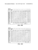 METHODS AND COMPOSITIONS FOR TARGETING POLYUBIQUITIN diagram and image