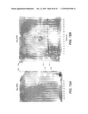 METHODS AND COMPOSITIONS FOR TARGETING POLYUBIQUITIN diagram and image