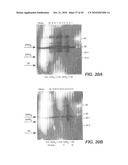 METHODS AND COMPOSITIONS FOR TARGETING POLYUBIQUITIN diagram and image