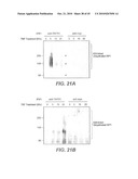 METHODS AND COMPOSITIONS FOR TARGETING POLYUBIQUITIN diagram and image