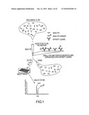 ANALYSIS OF PROTEINS FROM BIOLOGICAL FLUIDS USING MASS SPECTROMETRIC IMMUNOASSAY diagram and image