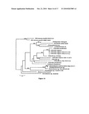 NOVEL PSEUDOCHLOROCOCCUM SPECIES AND USES THEREFOR diagram and image