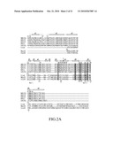 MUTANT PYRROLYSYL-tRNA SYNTHETASE, AND METHOD FOR PRODUCTION OF PROTEIN HAVING NON-NATURAL AMINO ACID INTEGRATED THEREIN BY USING THE SAME diagram and image