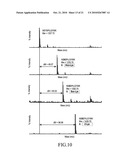 MUTANT PYRROLYSYL-tRNA SYNTHETASE, AND METHOD FOR PRODUCTION OF PROTEIN HAVING NON-NATURAL AMINO ACID INTEGRATED THEREIN BY USING THE SAME diagram and image