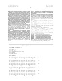 MUTANT PYRROLYSYL-tRNA SYNTHETASE, AND METHOD FOR PRODUCTION OF PROTEIN HAVING NON-NATURAL AMINO ACID INTEGRATED THEREIN BY USING THE SAME diagram and image