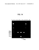 Method for a continuous rapid thermal cycle system diagram and image