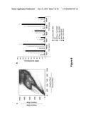 METHODS FOR ISOLATING VERY SMALL EMBRYONIC-LIKE (VSEL) STEM CELLS diagram and image