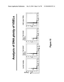 METHODS FOR ISOLATING VERY SMALL EMBRYONIC-LIKE (VSEL) STEM CELLS diagram and image