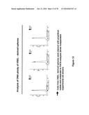 METHODS FOR ISOLATING VERY SMALL EMBRYONIC-LIKE (VSEL) STEM CELLS diagram and image