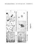 METHODS FOR ISOLATING VERY SMALL EMBRYONIC-LIKE (VSEL) STEM CELLS diagram and image