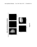 METHODS FOR ISOLATING VERY SMALL EMBRYONIC-LIKE (VSEL) STEM CELLS diagram and image