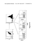 METHODS FOR ISOLATING VERY SMALL EMBRYONIC-LIKE (VSEL) STEM CELLS diagram and image