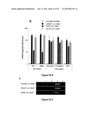 METHODS FOR ISOLATING VERY SMALL EMBRYONIC-LIKE (VSEL) STEM CELLS diagram and image