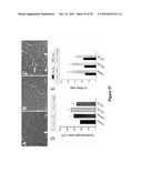 METHODS FOR ISOLATING VERY SMALL EMBRYONIC-LIKE (VSEL) STEM CELLS diagram and image