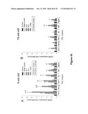 METHODS FOR ISOLATING VERY SMALL EMBRYONIC-LIKE (VSEL) STEM CELLS diagram and image