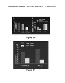 METHODS FOR ISOLATING VERY SMALL EMBRYONIC-LIKE (VSEL) STEM CELLS diagram and image