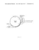 ACRTIIB-FC POLYNUCLEOTIDES, POLYPEPTIDES, AND COMPOSITIONS diagram and image