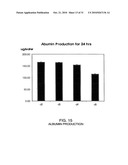 FABRICATION OF VASCULARIZED TISSUE USING MICROFABRICATED TWO-DIMENSIONAL MOLDS diagram and image