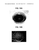 FABRICATION OF VASCULARIZED TISSUE USING MICROFABRICATED TWO-DIMENSIONAL MOLDS diagram and image