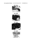 FABRICATION OF VASCULARIZED TISSUE USING MICROFABRICATED TWO-DIMENSIONAL MOLDS diagram and image