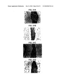 FABRICATION OF VASCULARIZED TISSUE USING MICROFABRICATED TWO-DIMENSIONAL MOLDS diagram and image