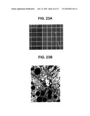 FABRICATION OF VASCULARIZED TISSUE USING MICROFABRICATED TWO-DIMENSIONAL MOLDS diagram and image