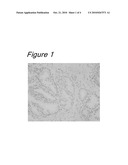 NOVEL METHOD FOR SPECIMEN PREPARATION, WHICH ENSURES PRESERVATION OF TISSUE MORPHOLOGY AND NUCLEIC ACID QUALITY diagram and image