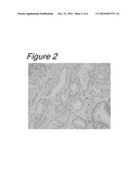 NOVEL METHOD FOR SPECIMEN PREPARATION, WHICH ENSURES PRESERVATION OF TISSUE MORPHOLOGY AND NUCLEIC ACID QUALITY diagram and image