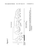 NOVEL METHOD FOR SPECIMEN PREPARATION, WHICH ENSURES PRESERVATION OF TISSUE MORPHOLOGY AND NUCLEIC ACID QUALITY diagram and image