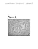 NOVEL METHOD FOR SPECIMEN PREPARATION, WHICH ENSURES PRESERVATION OF TISSUE MORPHOLOGY AND NUCLEIC ACID QUALITY diagram and image