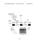 HIGH THROUGHPUT INTEGRATED MICROFLUIDIC SYSTEM AND DEVICE diagram and image