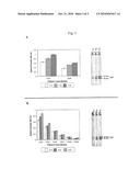 METHODS AND COMPOSITIONS FOR MYCOPLASMA PNEUMONIAE EXOTOXINS diagram and image