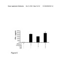 PEPTIDES WITH CAPACITY TO BIND TO SCURFIN AND APPLICATIONS diagram and image