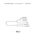 SLO2 and SLO4, Novel Potassium Channel Proteins from Human Brain diagram and image