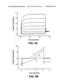 SLO2 and SLO4, Novel Potassium Channel Proteins from Human Brain diagram and image