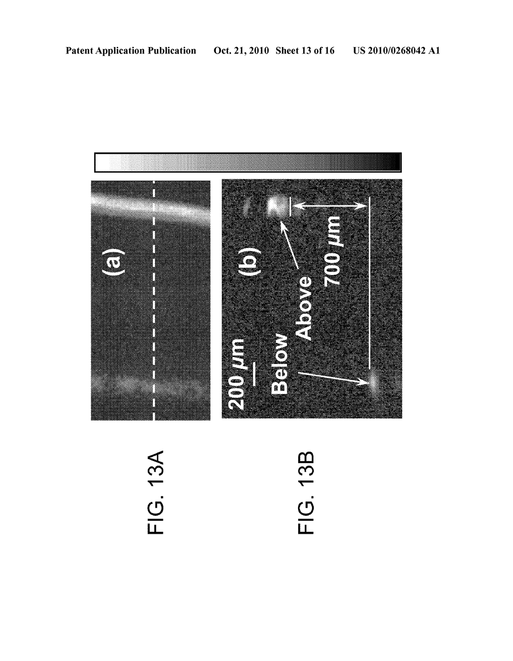 CONFOCAL PHOTOACOUSTIC MICROSCOPY WITH OPTICAL LATERAL RESOLUTION - diagram, schematic, and image 14