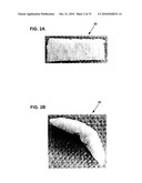 DELIVERY SYSTEMS, TOOLS, AND METHODS OF USE diagram and image