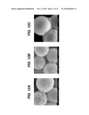 Methods and Devices for Implants with Calcium Phosphate diagram and image