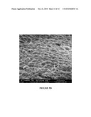 MICRO AND NANO SCALE SURFACE TEXTURED TITANIUM-CONTAINING ARTICLES AND METHODS OF PRODUCING SAME diagram and image