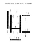 Window Air Conditioner Adjustable Brace diagram and image