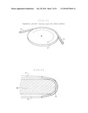 NITRIDE SEMICONDUCTOR WAFER diagram and image