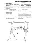 Method and System for Characterization of Knee Joint Morphology diagram and image