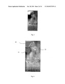 METHOD FOR RESOLVING CONTRADICTING OUTPUT DATA FROM AN OPTICAL CHARACTER RECOGNITION (OCR) SYSTEM, WHEREIN THE OUTPUT DATA COMPRISES MORE THAN ONE RECOGNITION ALTERNATIVE FOR AN IMAGE OF A CHARACTER diagram and image