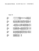 Protease Having Algicidal Activity, Gene Encoding the Same and Algicidal Formulation Comprising the Same diagram and image