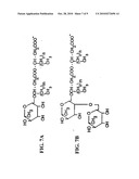 Antimicrobial Compositions and Related Methods of Use diagram and image