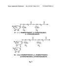 Antimicrobial Compositions and Related Methods of Use diagram and image