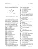 COMBINATIONS OF THERAPEUTIC AGENTS FOR TREATING CANCER diagram and image