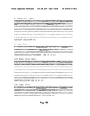 Antibodies Against Human NKG2D and Uses Thereof diagram and image